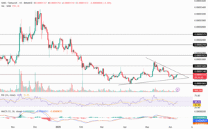 Shiba Inu Price Chart